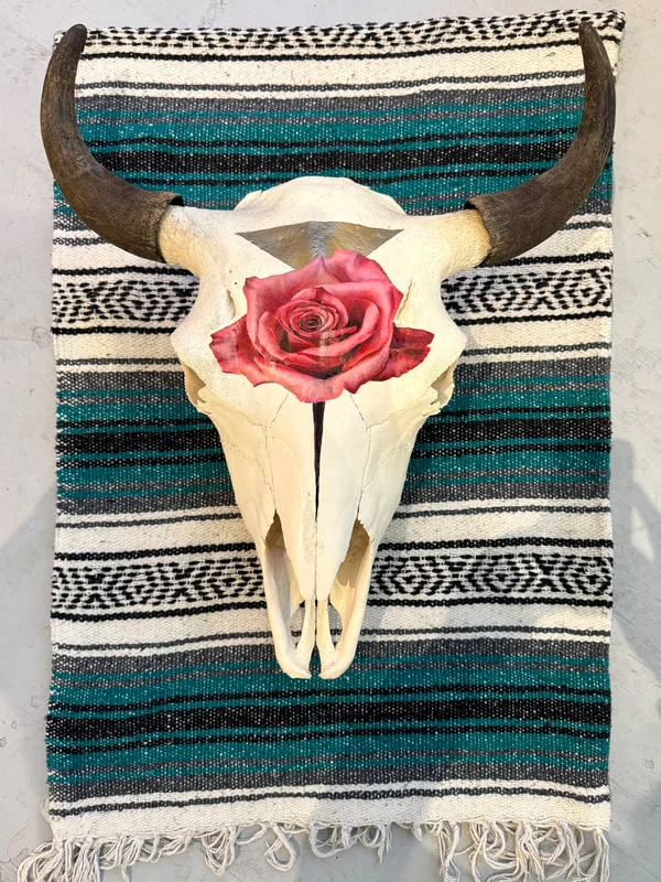 Desert Bloom