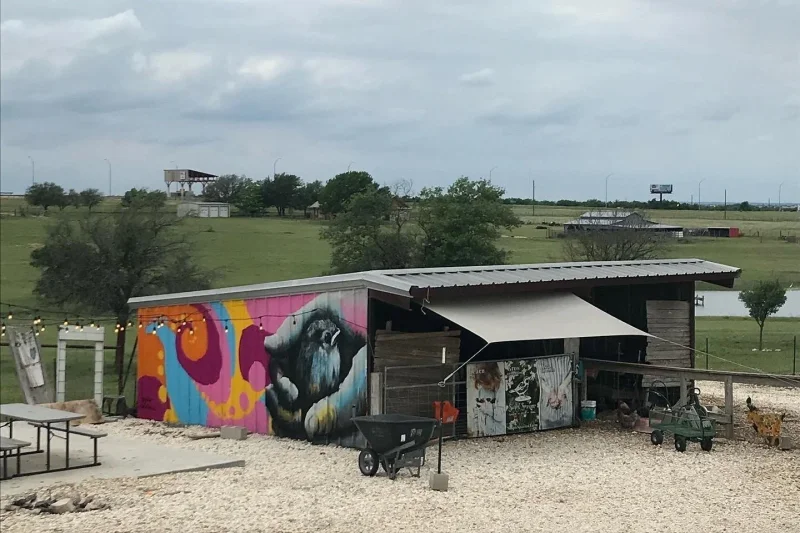 Simple Sparrow Care Farms