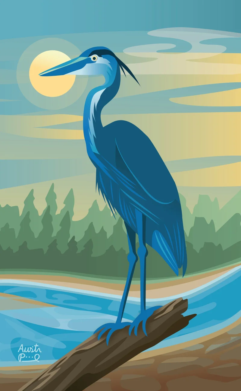 Heron’s Perch