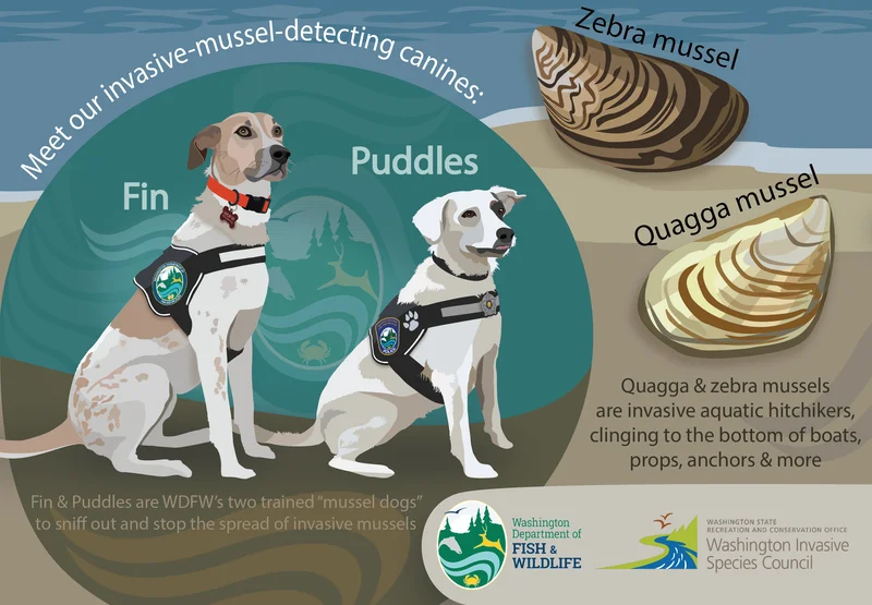 Invasive Species