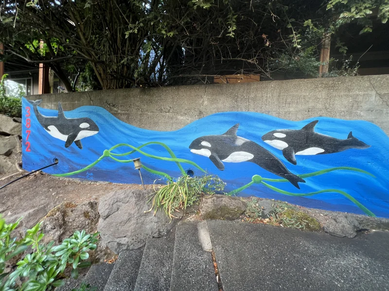 Murals cover