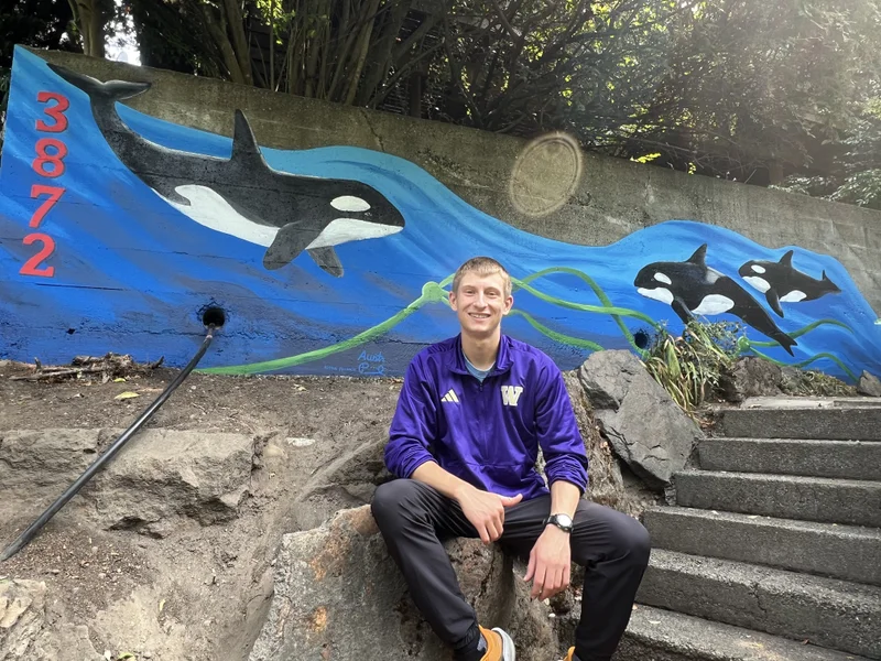 Orca Pod